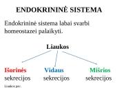 Apie endokrininę sistemą