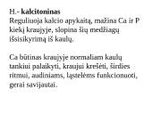 Apie endokrininę sistemą 13 puslapis