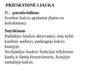 Apie endokrininę sistemą 16 puslapis