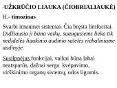 Apie endokrininę sistemą 17 puslapis