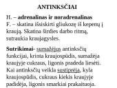 Apie endokrininę sistemą 19 puslapis