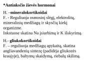 Apie endokrininę sistemą 20 puslapis