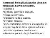 Apie endokrininę sistemą 3 puslapis
