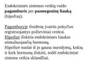Apie endokrininę sistemą 5 puslapis