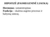 Apie endokrininę sistemą 7 puslapis