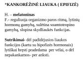 Apie endokrininę sistemą 10 puslapis