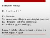 Fermentų veikimo specifiškumas 11 puslapis