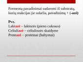 Fermentų veikimo specifiškumas 13 puslapis