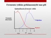 Fermentų veikimo specifiškumas 19 puslapis