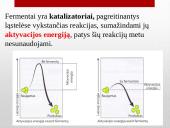 Fermentų veikimo specifiškumas 6 puslapis