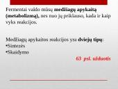 Fermentų veikimo specifiškumas 7 puslapis