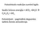 Fotosintezės pradžia 2 puslapis