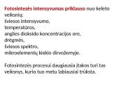 Fotosintezės fazės 14 puslapis