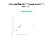 Fotosintezės fazės 16 puslapis