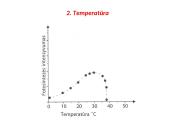 Fotosintezės fazės 17 puslapis