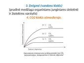 Fotosintezės fazės 18 puslapis