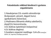 Fotosintezės fazės 20 puslapis