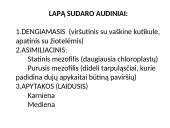 Fotosintezės fazės 6 puslapis