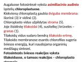 Fotosintezės fazės 7 puslapis