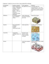 Gyvūnų audiniai - lentelė 2 puslapis