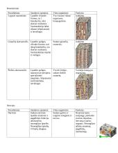 Gyvūnų audiniai - lentelė 3 puslapis