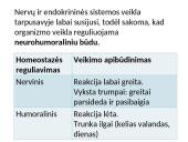 Homeostazė, jos samprata 11 puslapis