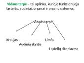 Homeostazė, jos samprata 3 puslapis