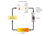 Homeostazė, jos samprata 10 puslapis