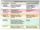 Žmogaus šalinimo organų sistema 13 puslapis