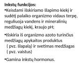 Žmogaus šalinimo organų sistema 9 puslapis