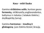 Kasa – mišri liauka 2 puslapis