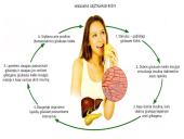 Kasa – mišri liauka 11 puslapis