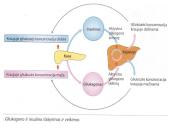 Kasa – mišri liauka 10 puslapis
