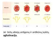 Kraujo grupės ir kraujo perpylimas 3 puslapis