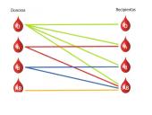 Kraujo grupės ir kraujo perpylimas 5 puslapis