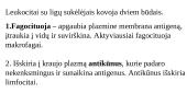 Kraujo ląstelės. Eritrocitai, leukocitai, trombocitai  12 puslapis