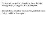 Kraujo ląstelės. Eritrocitai, leukocitai, trombocitai  6 puslapis