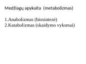 Aerobinio kvėpavimo etapai 2 puslapis