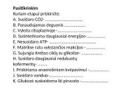 Aerobinio kvėpavimo etapai 14 puslapis