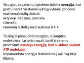 Aerobinio kvėpavimo etapai 5 puslapis