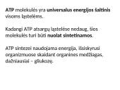 Aerobinio kvėpavimo etapai 6 puslapis