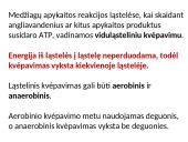 Aerobinio kvėpavimo etapai 9 puslapis