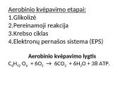 Aerobinio kvėpavimo etapai 10 puslapis