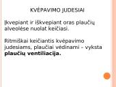 Kvėpavimo judesiai