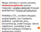 Kvėpavimo judesiai 4 puslapis