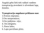 Medžiagų pernaša lapuose 11 puslapis