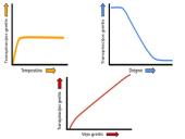 Medžiagų pernaša lapuose 12 puslapis