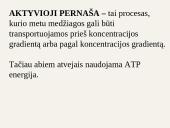 Medžiagų pernaša ląstelėje 15 puslapis