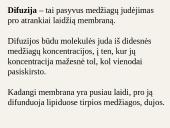 Medžiagų pernaša ląstelėje 4 puslapis