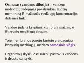 Medžiagų pernaša ląstelėje 8 puslapis